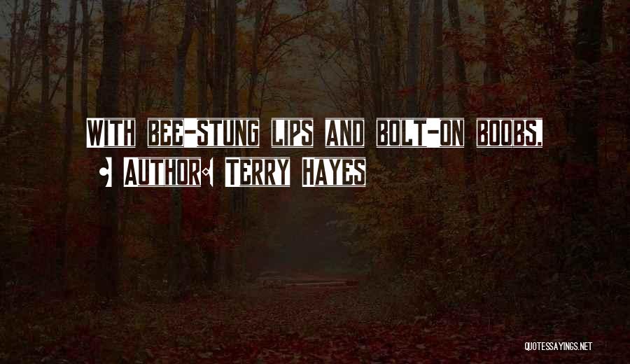 Hayes Quotes By Terry Hayes