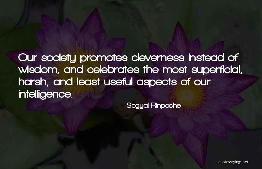 Hayim Cohen Quotes By Sogyal Rinpoche Hayim Cohen Quotes By Sogyal Rinpoche