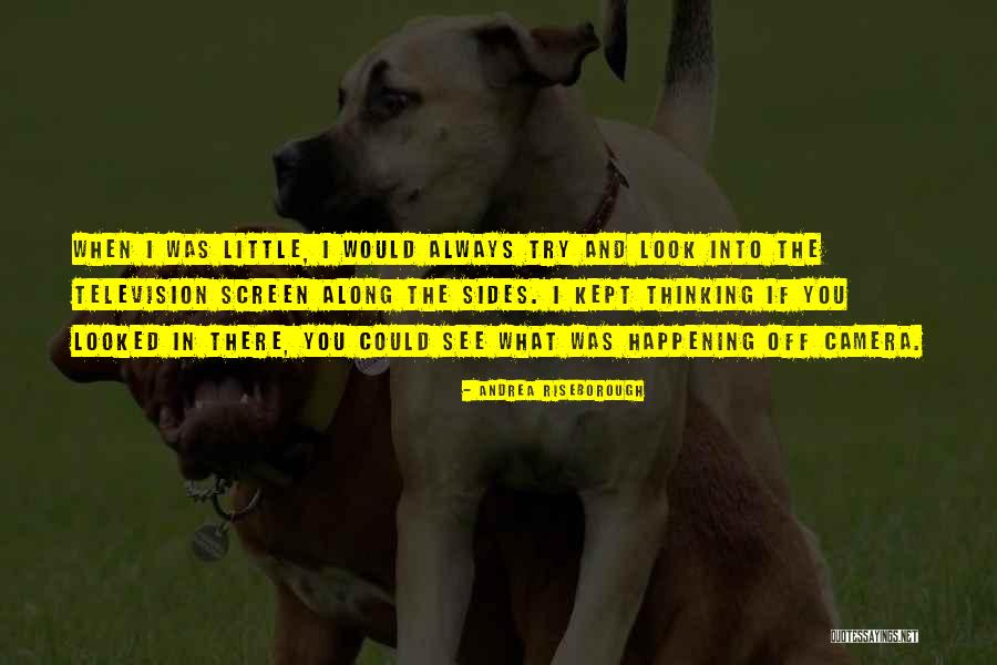 Hayme Hatun Quotes By Andrea Riseborough Hayme Hatun Quotes By Andrea Riseborough