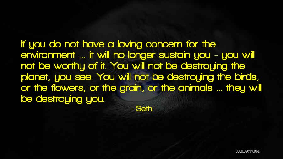 Hayreddin Quotes By Seth Hayreddin Quotes By Seth