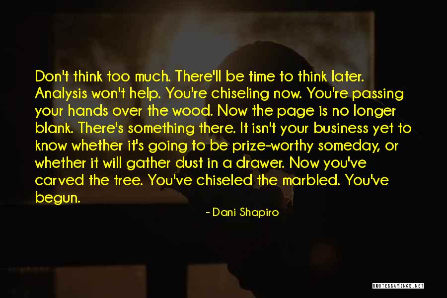 Hayria Fathurahman Quotes By Dani Shapiro Hayria Fathurahman Quotes By Dani Shapiro