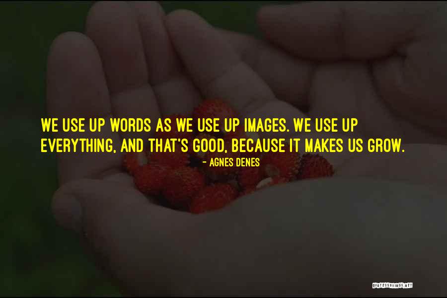 Hayseeds Quotes By Agnes Denes Hayseeds Quotes By Agnes Denes