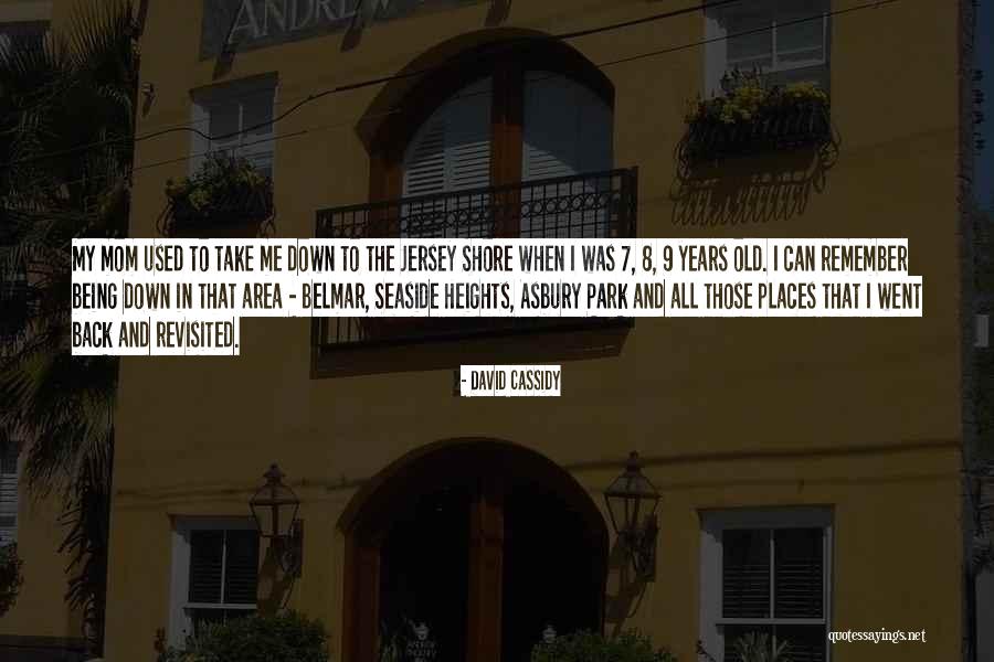 Haystacks Monet Quotes By David Cassidy Haystacks Monet Quotes By David Cassidy