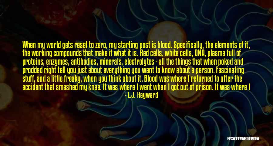 Hayward Quotes By L.J. Hayward Hayward Quotes By L.J. Hayward