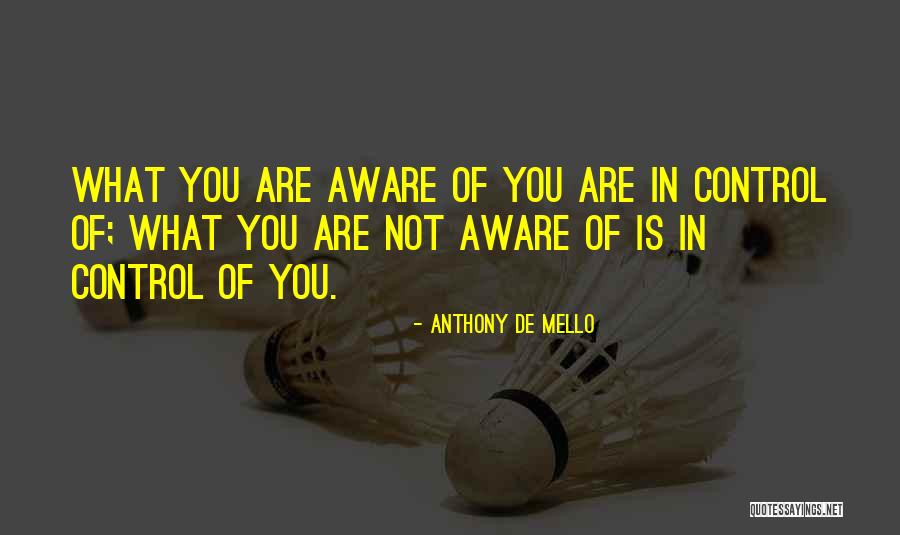 Haywire Burger Quotes By Anthony De Mello Haywire Burger Quotes By Anthony De Mello