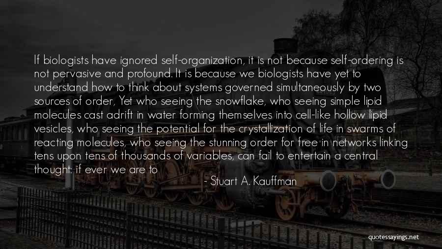 Hazel Grove Quotes By Stuart A. Kauffman Hazel Grove Quotes By Stuart A. Kauffman