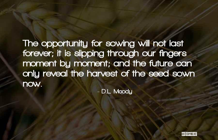 Hazeldene House Quotes By D.L. Moody Hazeldene House Quotes By D.L. Moody
