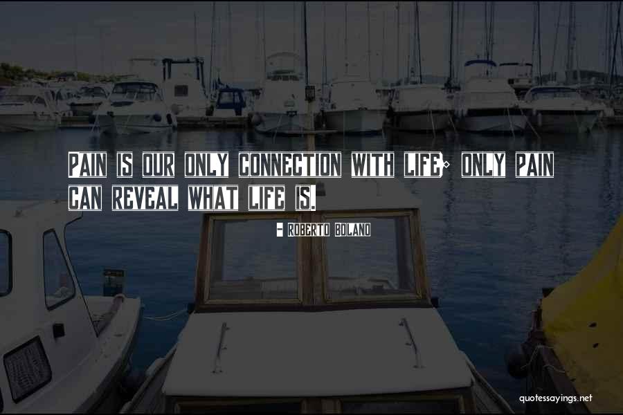 Haziza Furniture Quotes By Roberto Bolano Haziza Furniture Quotes By Roberto Bolano