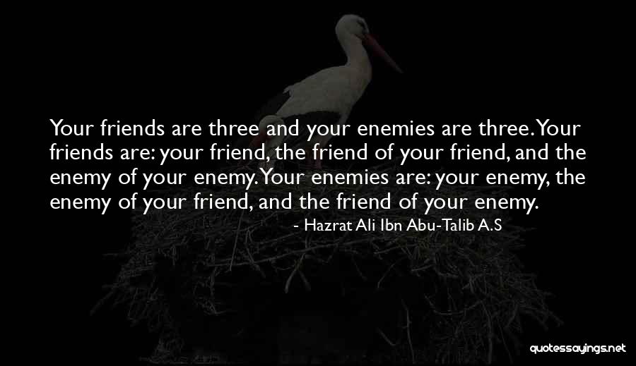 Hazrat Ali Ibn Abu-Talib A.S Quotes 1117069