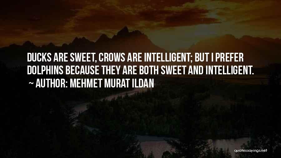 Hazrat Awais Qarni Quotes By Mehmet Murat Ildan