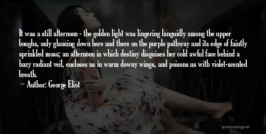 Hazy Quotes By George Eliot