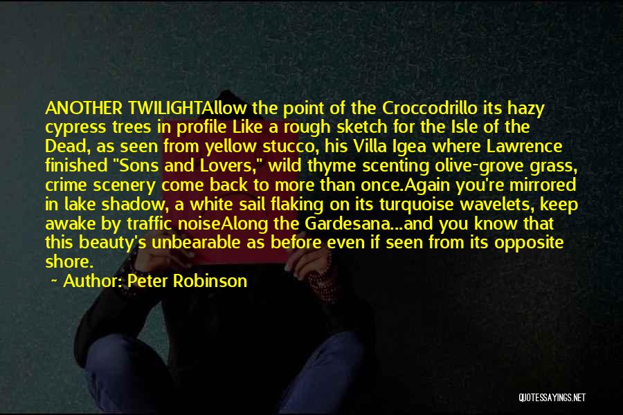 Hazy Quotes By Peter Robinson