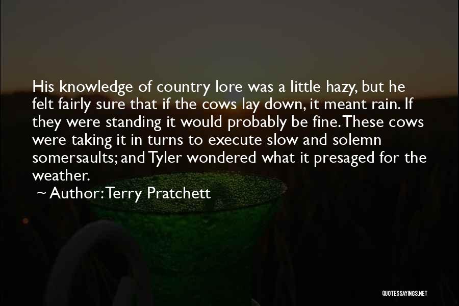Hazy Quotes By Terry Pratchett