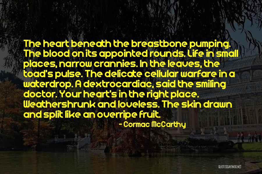 Hbr Leadership Quotes By Cormac McCarthy Hbr Leadership Quotes By Cormac McCarthy