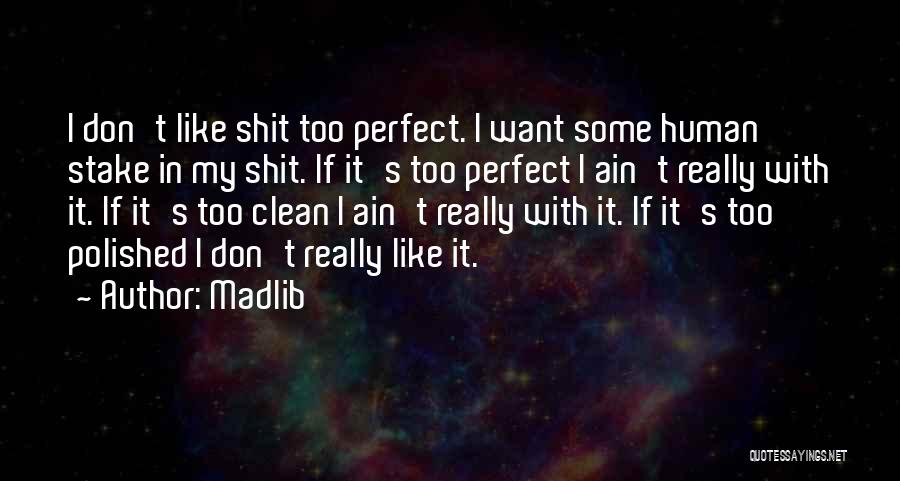 He Ain't Perfect Quotes By Madlib