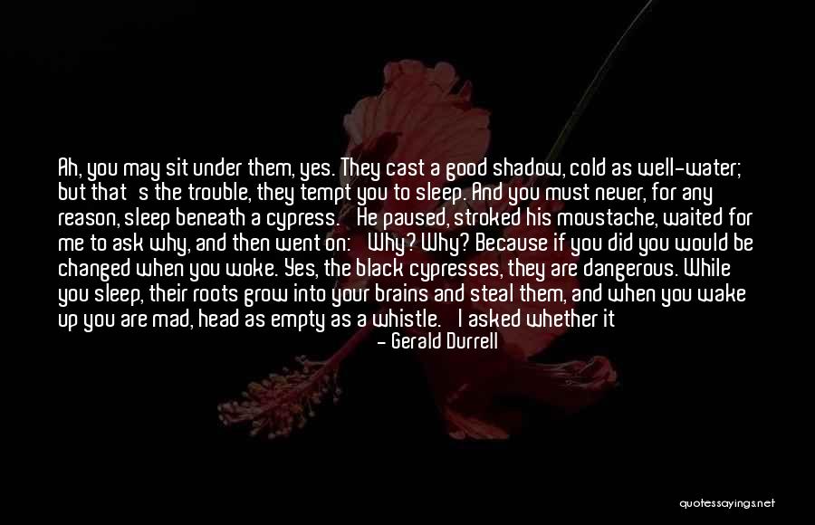 He Asked And I Said Yes Quotes By Gerald Durrell He Asked And I Said Yes Quotes By Gerald Durrell