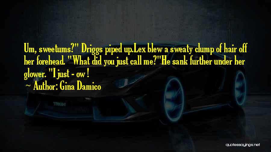 He Blew Me Off Quotes By Gina Damico