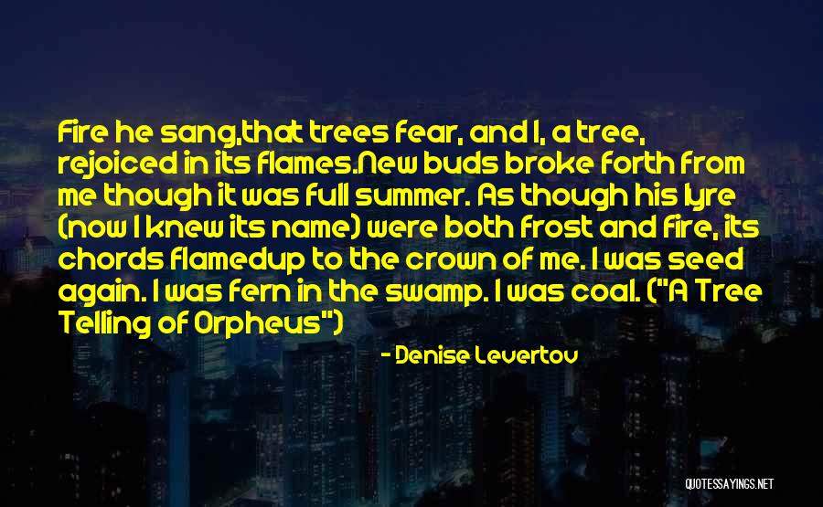 He Broke Up Me Quotes By Denise Levertov He Broke Up Me Quotes By Denise Levertov