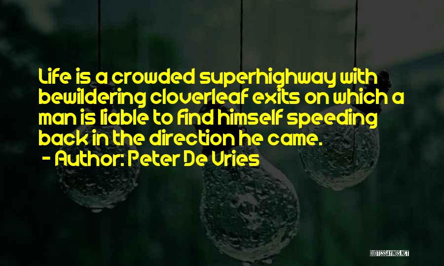 He Came Back Into My Life Quotes By Peter De Vries