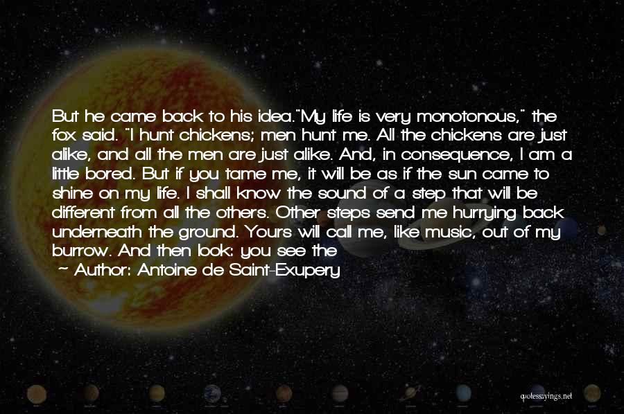 He Came In My Life Quotes By Antoine De Saint-Exupery