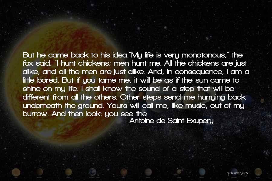 He Came In My Life Quotes By Antoine De Saint-Exupery