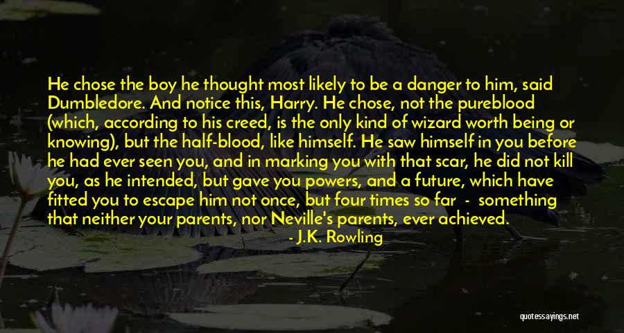 He Chose You Quotes By J.K. Rowling