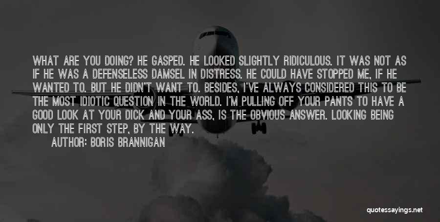 He Didn't Want Me Quotes By Boris Brannigan