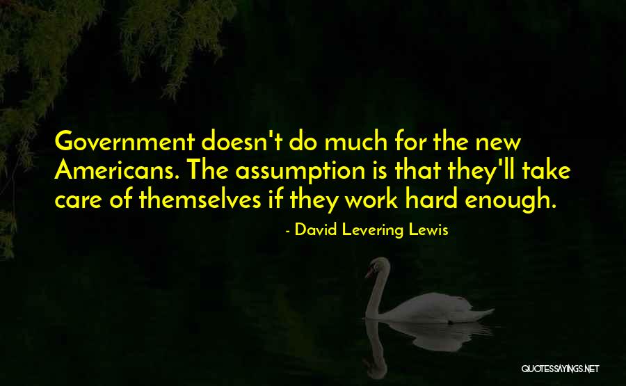 He Doesn't Care Enough Quotes By David Levering Lewis