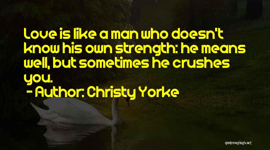 He Doesn't Love You Quotes By Christy Yorke