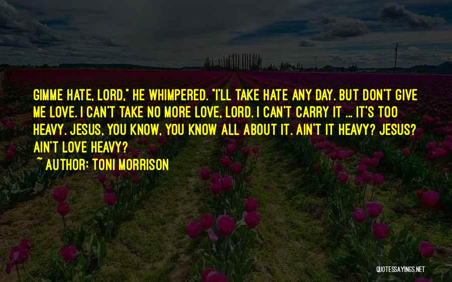 He Don't Love Me No More Quotes By Toni Morrison