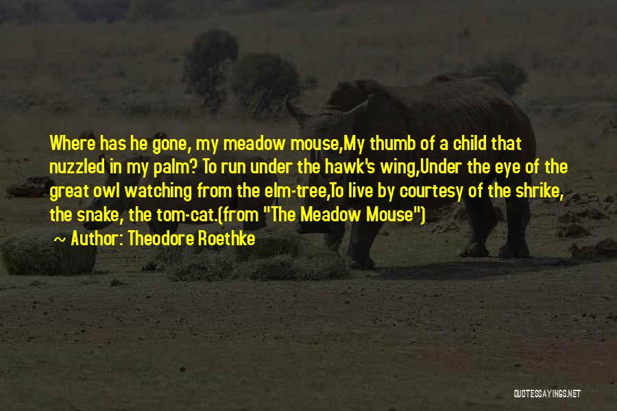 He Has Gone Quotes By Theodore Roethke