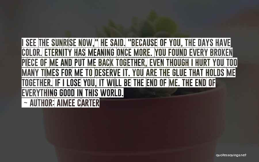 He Has Hurt Me Quotes By Aimee Carter