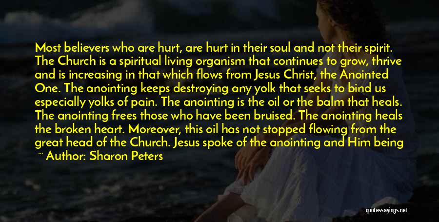 He Has Hurt Me Quotes By Sharon Peters