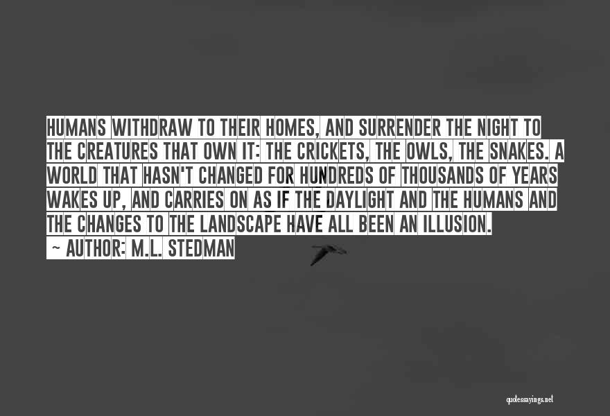 He Hasn't Changed Quotes By M.L. Stedman