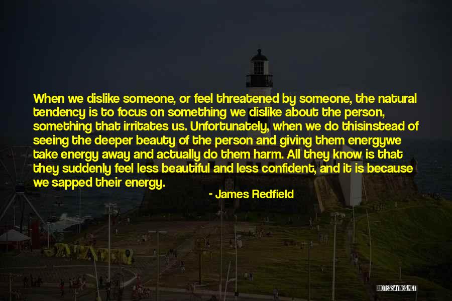 He Irritates Me Quotes By James Redfield