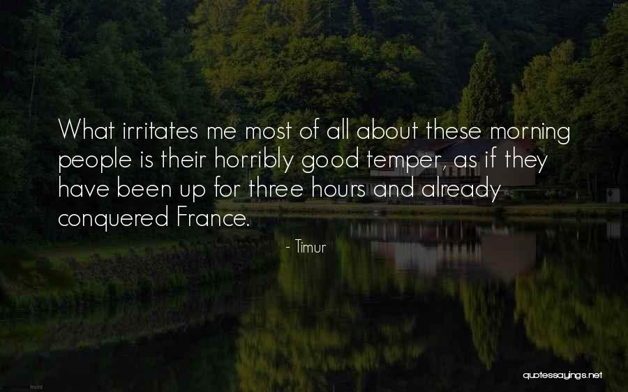 He Irritates Me Quotes By Timur