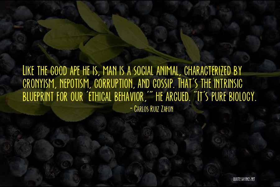 He Is A Good Man Quotes By Carlos Ruiz Zafon