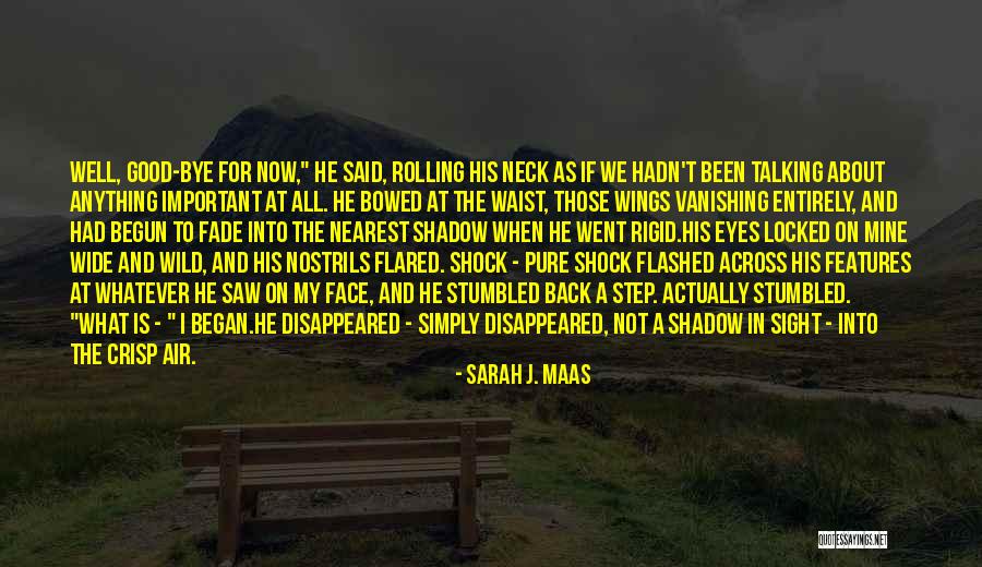 He Is All Mine Quotes By Sarah J. Maas He Is All Mine Quotes By Sarah J. Maas