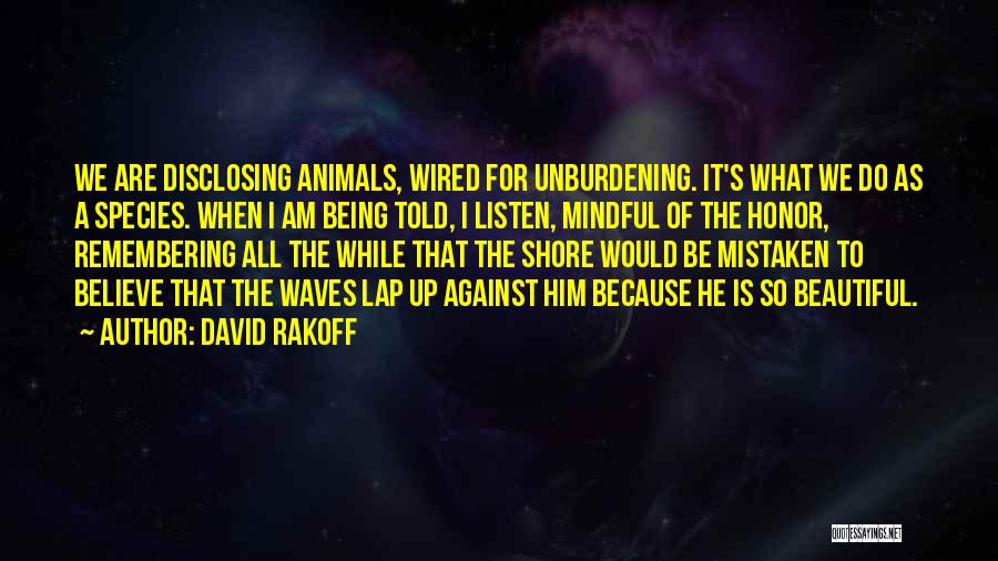 He Is Beautiful Quotes By David Rakoff