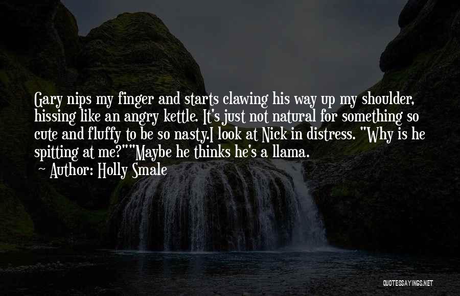 He Is Cute Quotes By Holly Smale