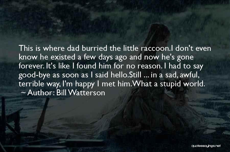 He Is Gone Forever Quotes By Bill Watterson