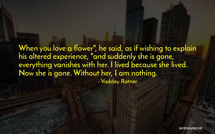 He Is Gone Love Quotes By Vaddey Ratner