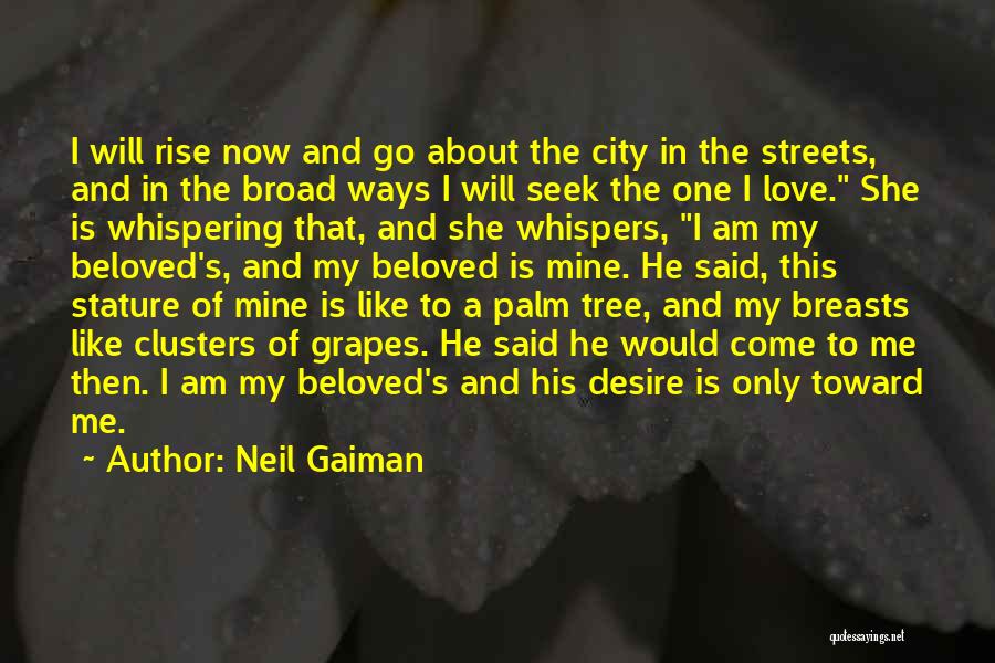 He Is Mine Now Quotes By Neil Gaiman