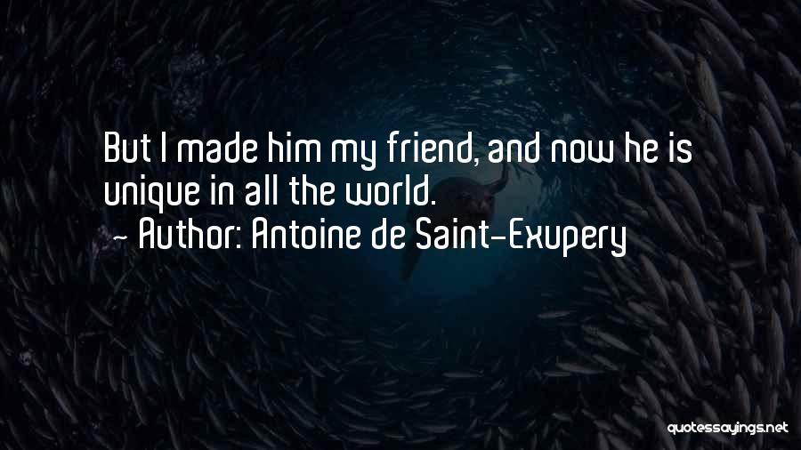 He Is My World Quotes By Antoine De Saint-Exupery