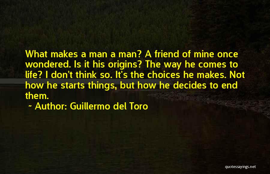 He Is Not Mine Quotes By Guillermo Del Toro