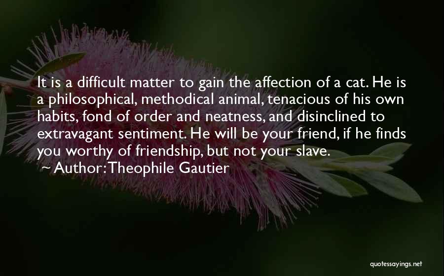 He Is Not Worthy Of You Quotes By Theophile Gautier