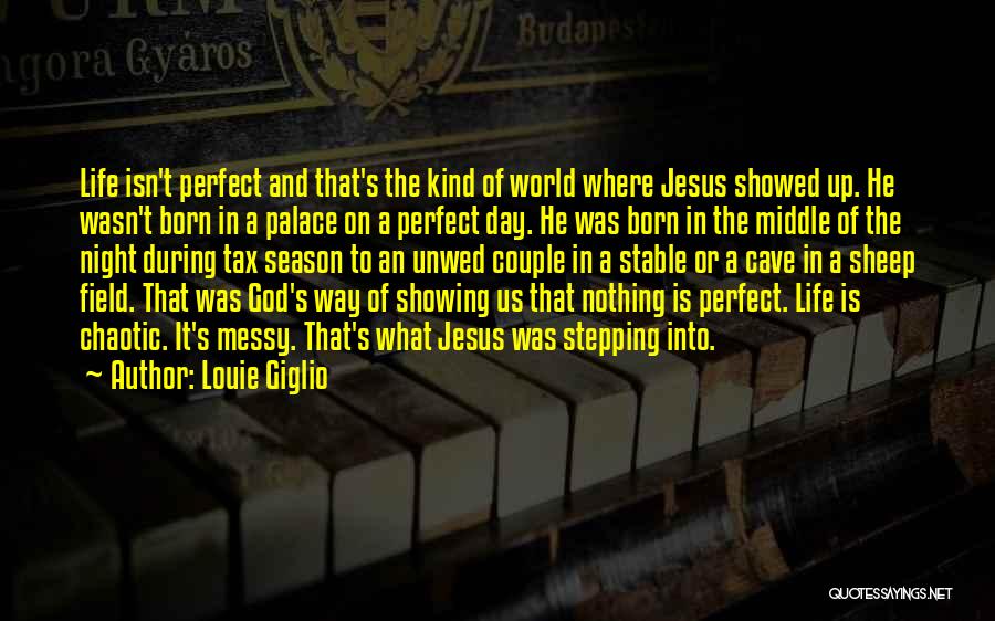He Isn't Perfect Quotes By Louie Giglio