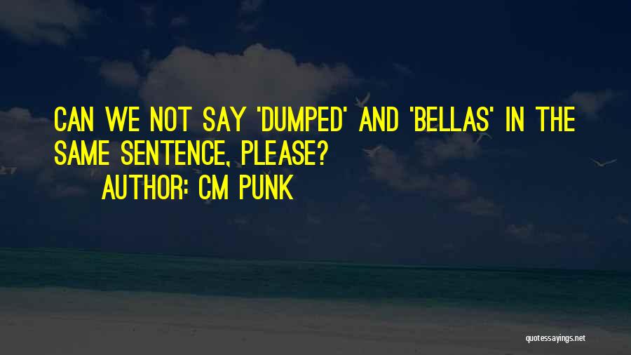 He Just Dumped Me Quotes By CM Punk