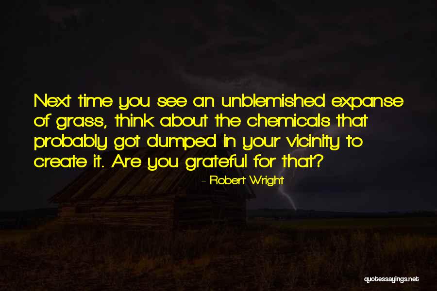 He Just Dumped Me Quotes By Robert Wright