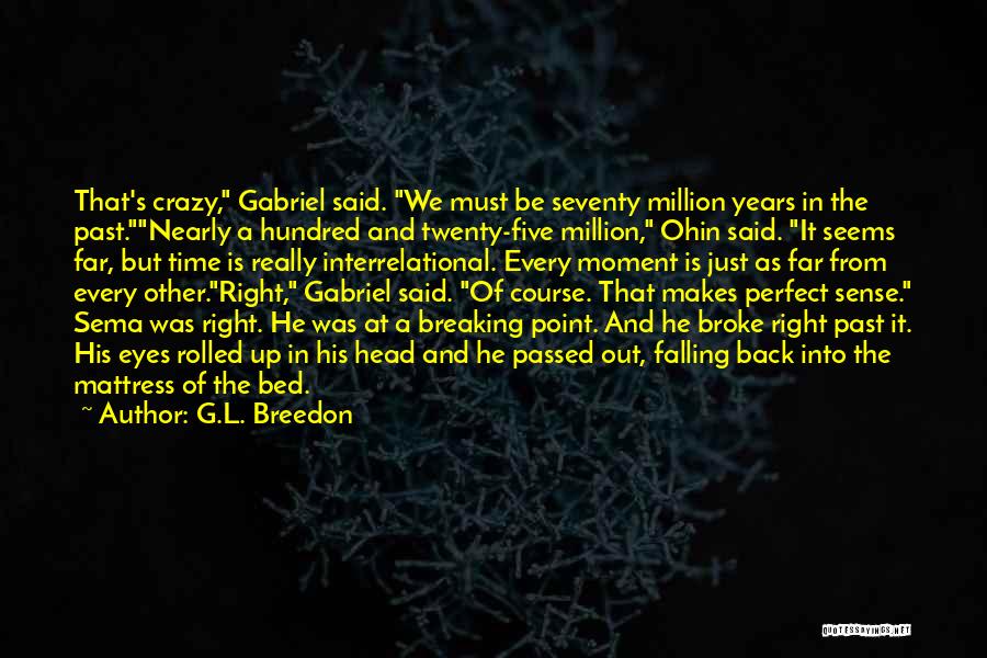 He Just Perfect Quotes By G.L. Breedon